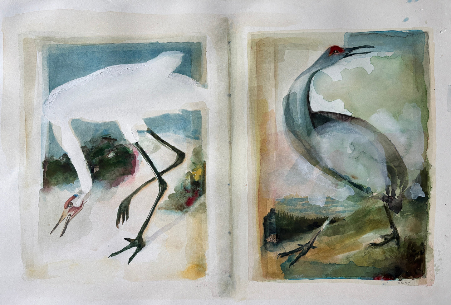 David Johnson, Two Cranes, Watercolor and Collage on Paper, 14 X 21"