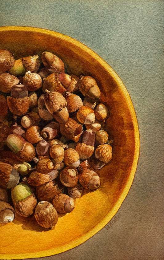 Tia Kratter, Squirrel Feast, Watercolor on Watercolor Paper, 12 1/2 X 8