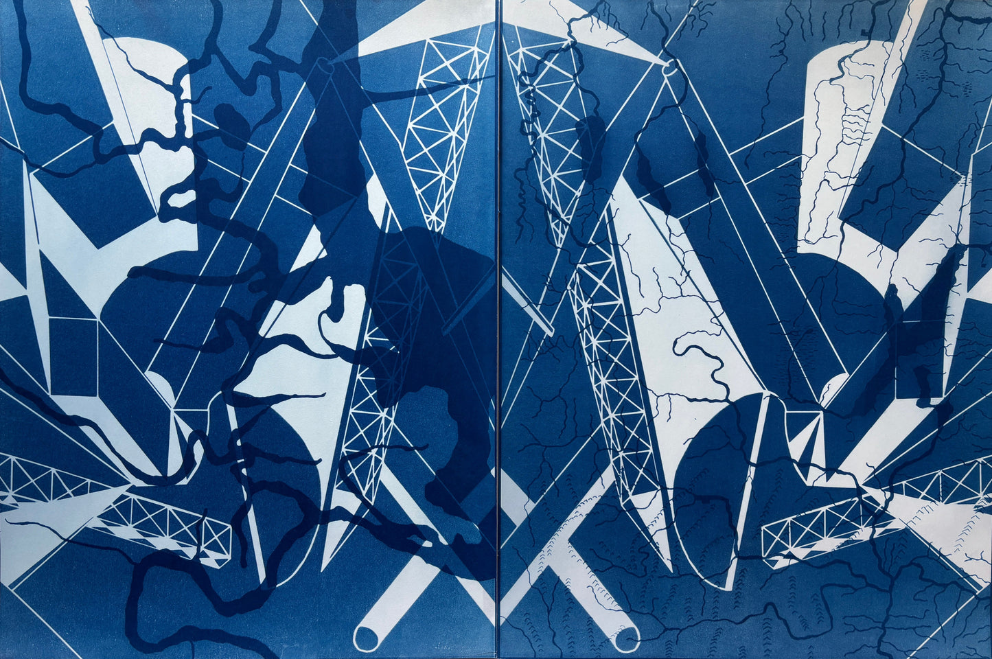 Maya Ciarrocchi, Derecho, Cyanotype on Watercolor Paper, 24 X 36"