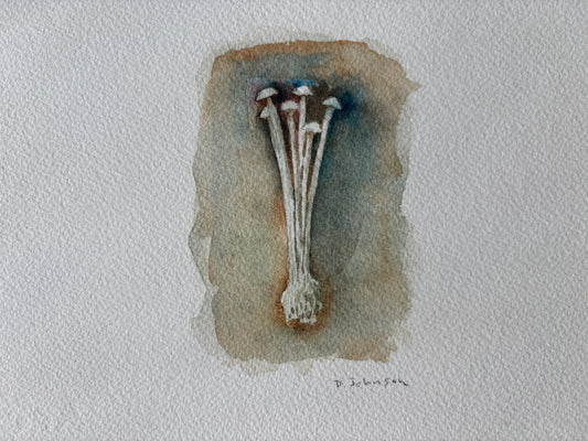 David Johnson, Enoki Mushrooms, Watercolor on Paper, 4 1/2 X 3"