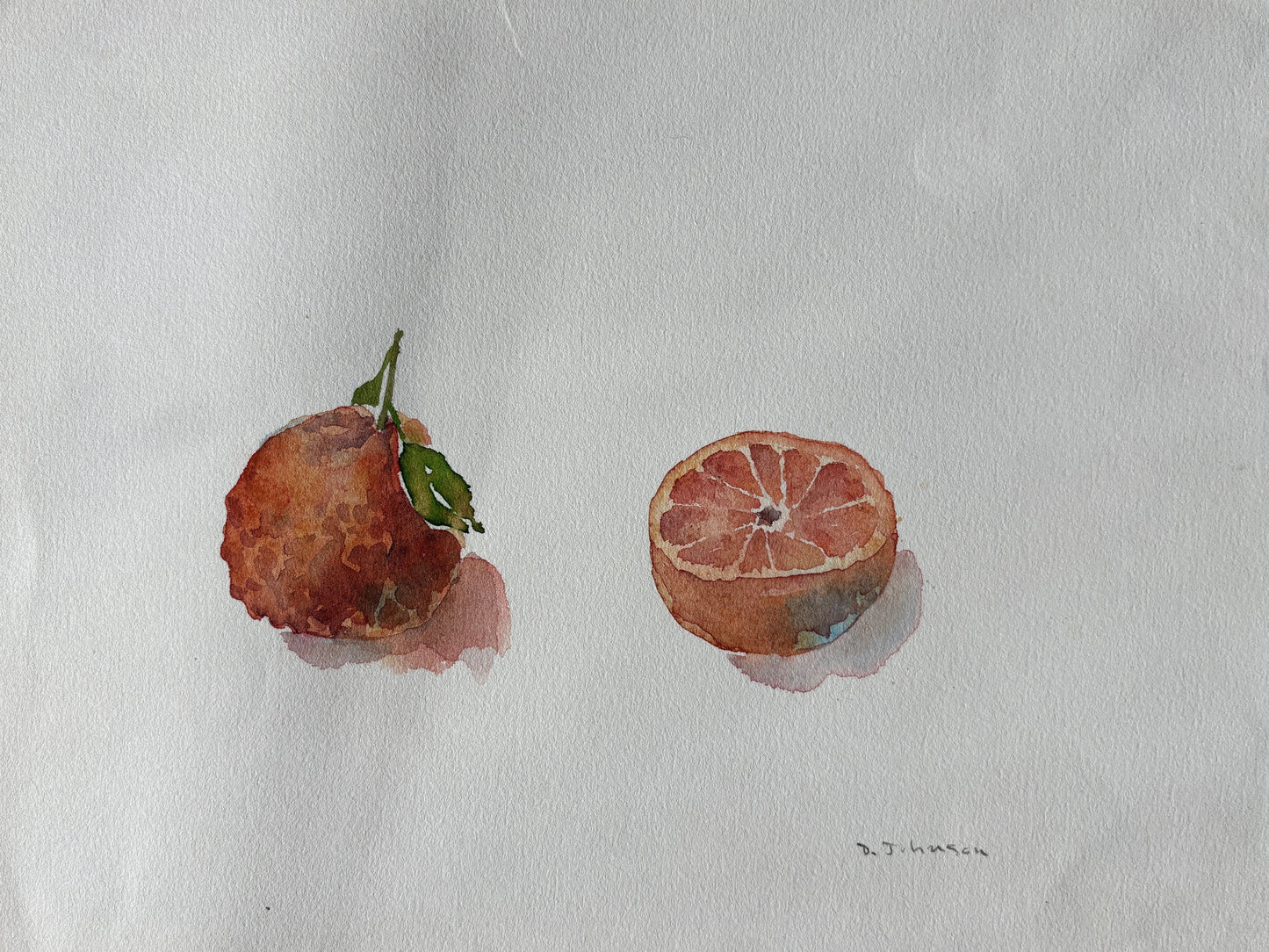 David Johnson, Tangerine, Watercolor on Paper, 8 1/2 x 11 1/2"