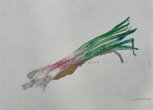David Johnson, Green Garlic, Watercolor on Paper, 9 1/2 X 12 1/2"